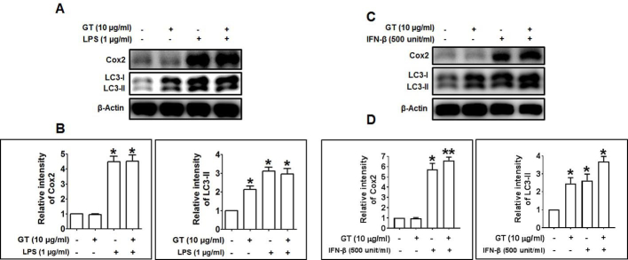 Supplementary Fig. 2