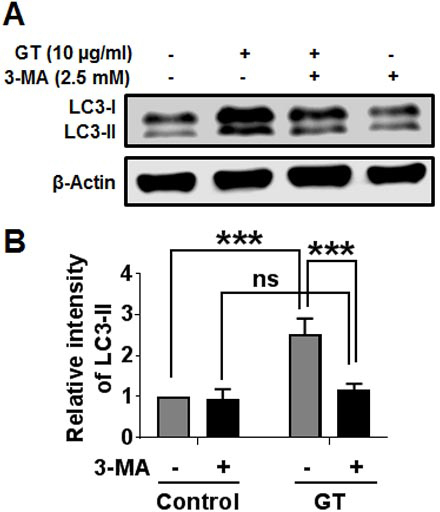 Supplementary Fig. 3