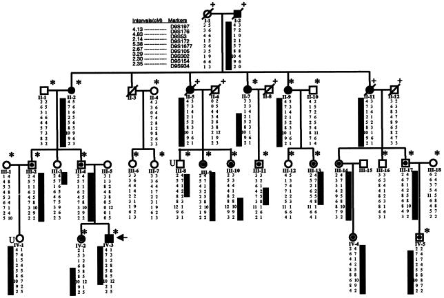 Figure  1