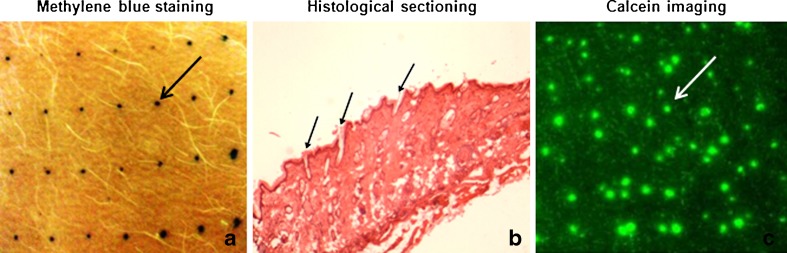 Fig. 2