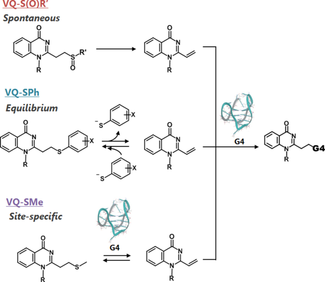 Figure 11.