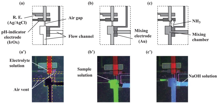 Figure 6.