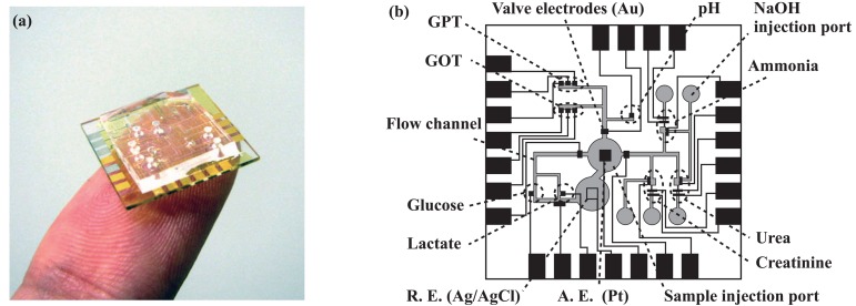 Figure 1.