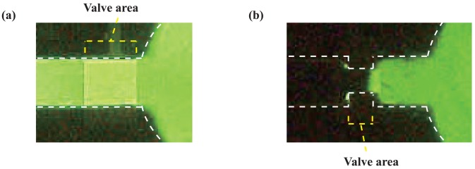 Figure 7.