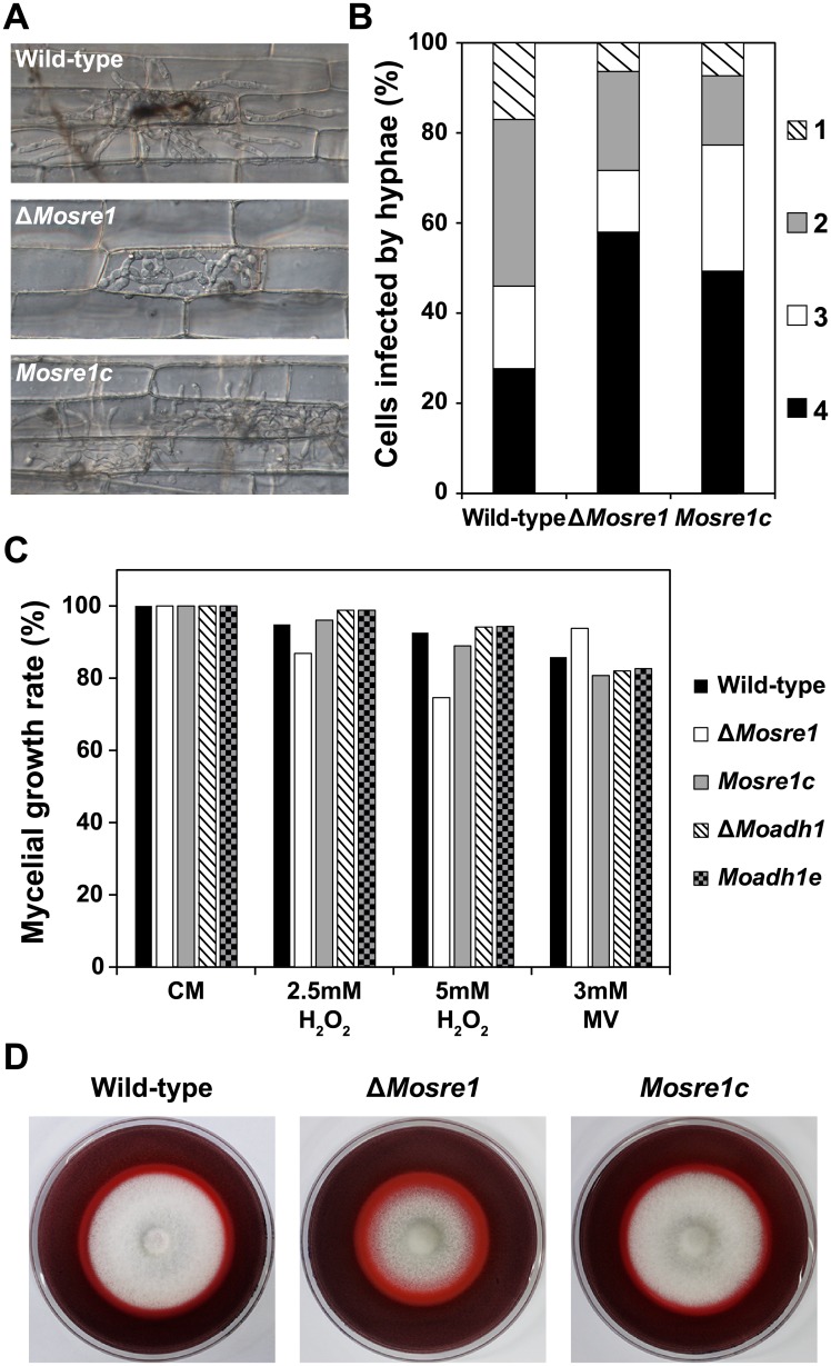 Fig 6