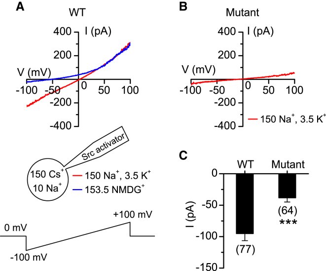 Figure 4