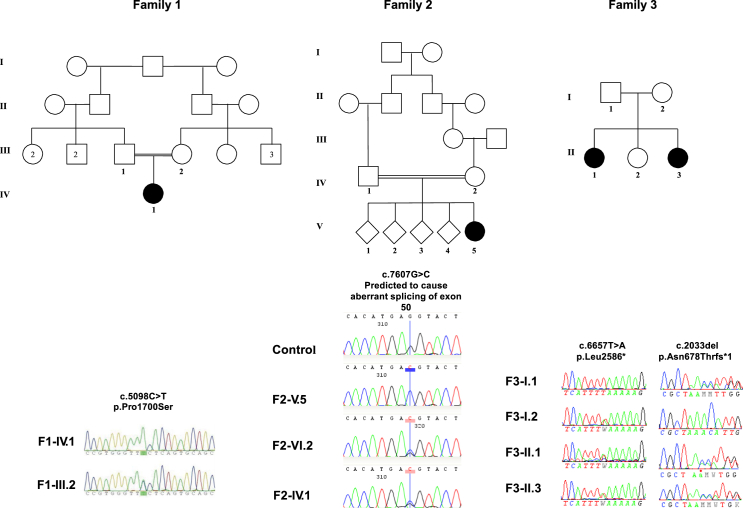 Figure 2