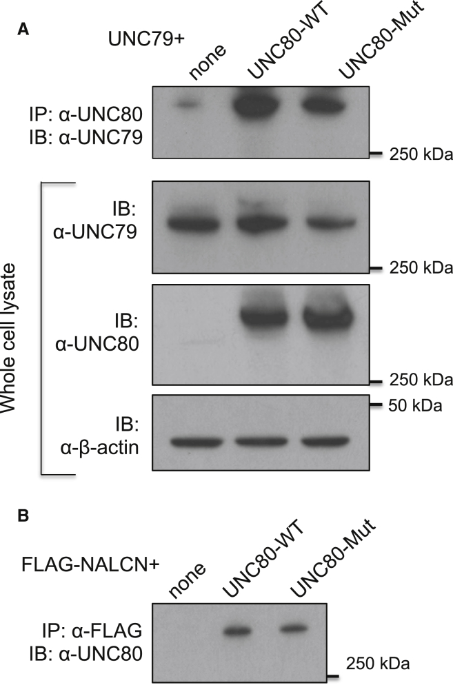 Figure 3