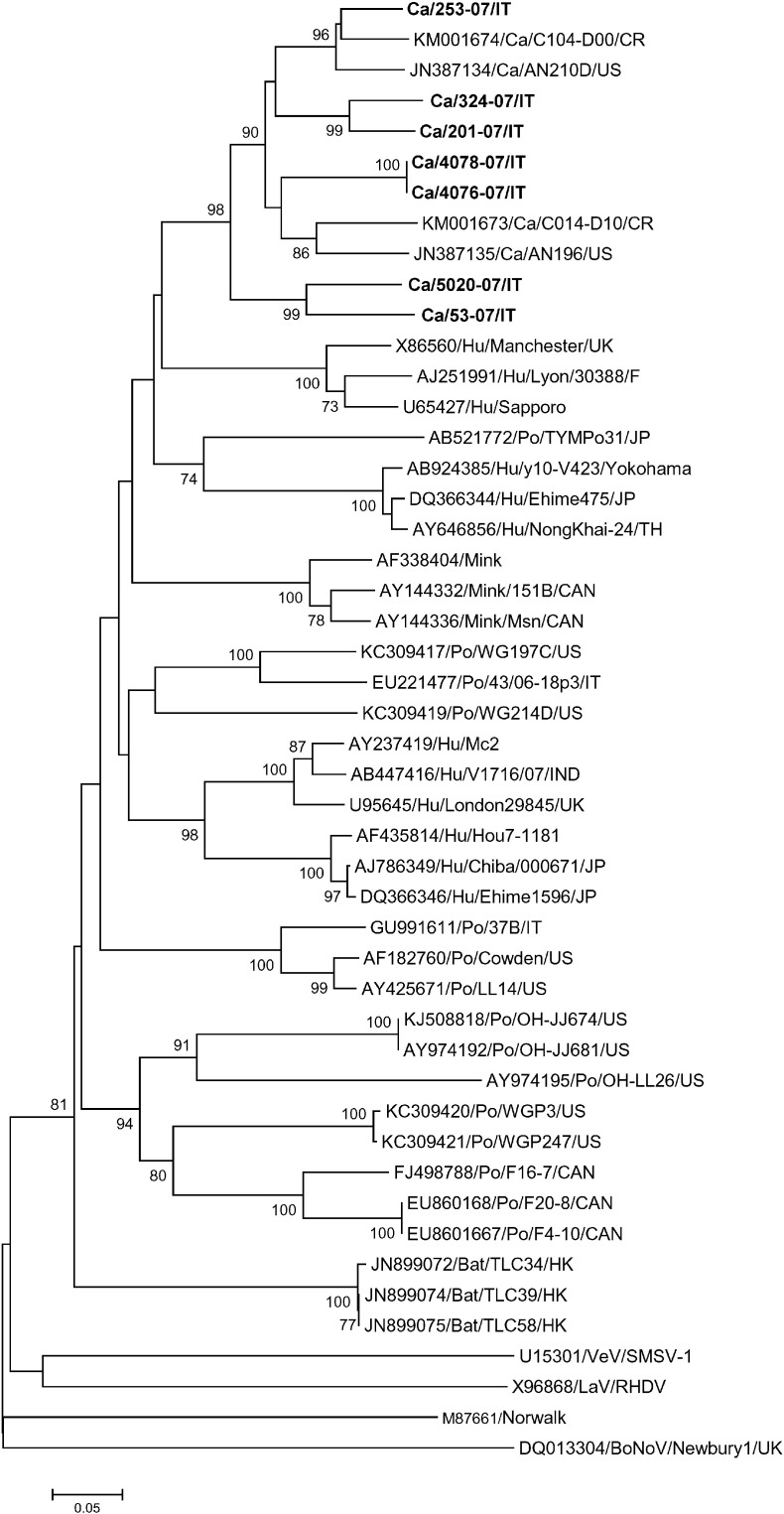 Fig. 1