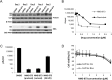 Fig 10