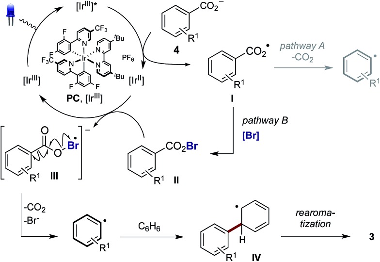 Scheme 3