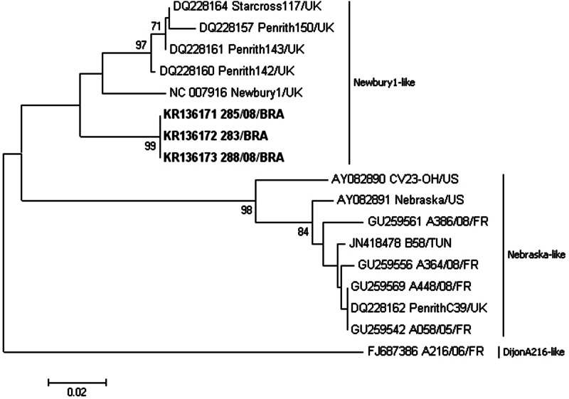 Fig. 1.