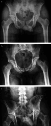 Fig. 2