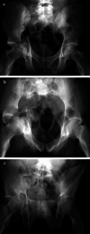 Fig. 4