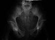 Fig. 6