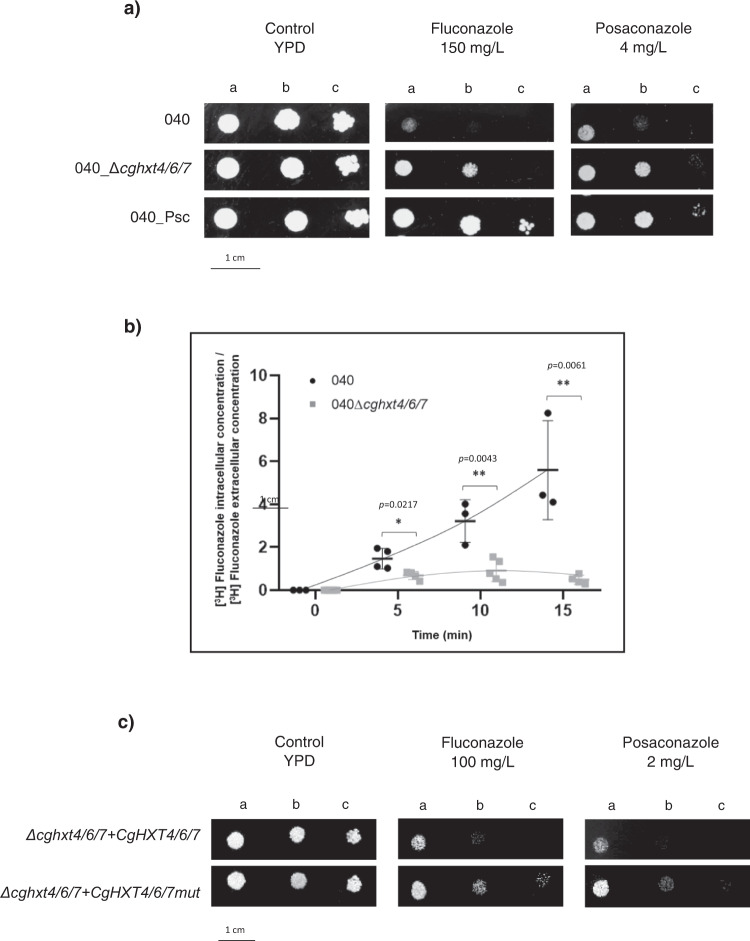 Fig. 4