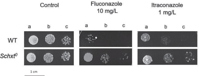 Fig. 3