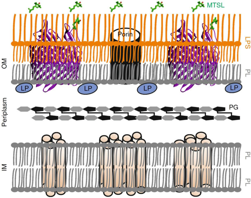 Figure 1 |