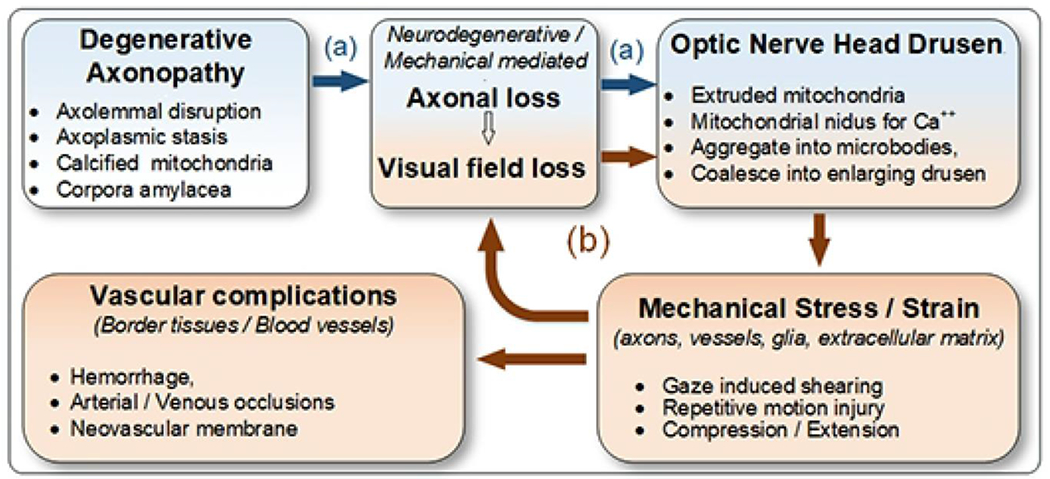 FIGURE 7.