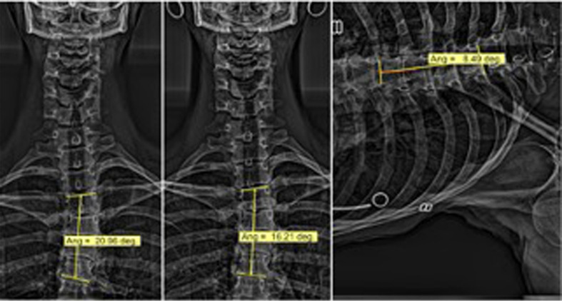 Fig. 3.