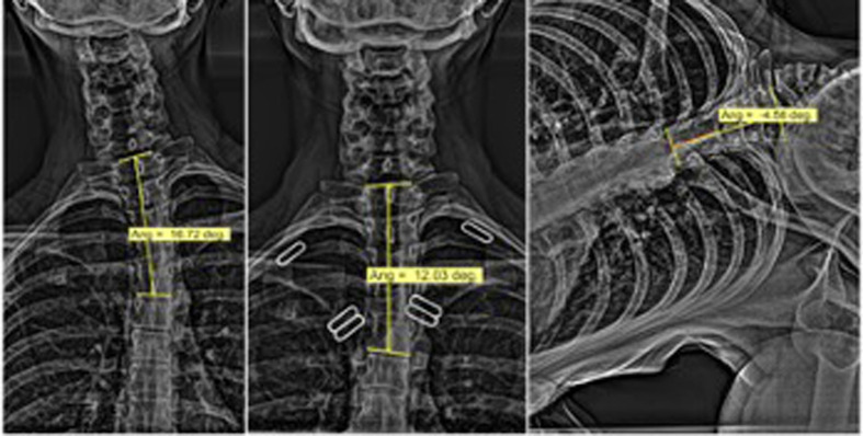 Fig. 4.