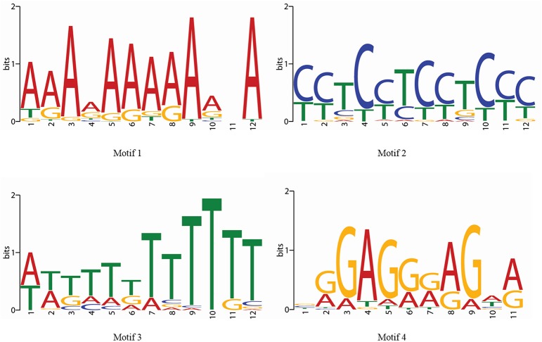 Figure 7