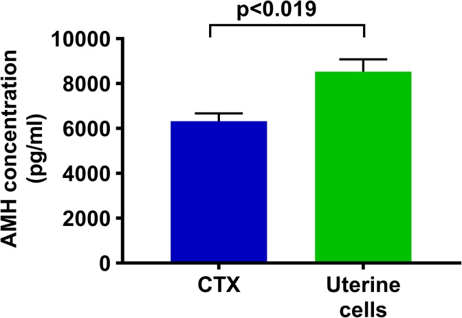 Figure 5.