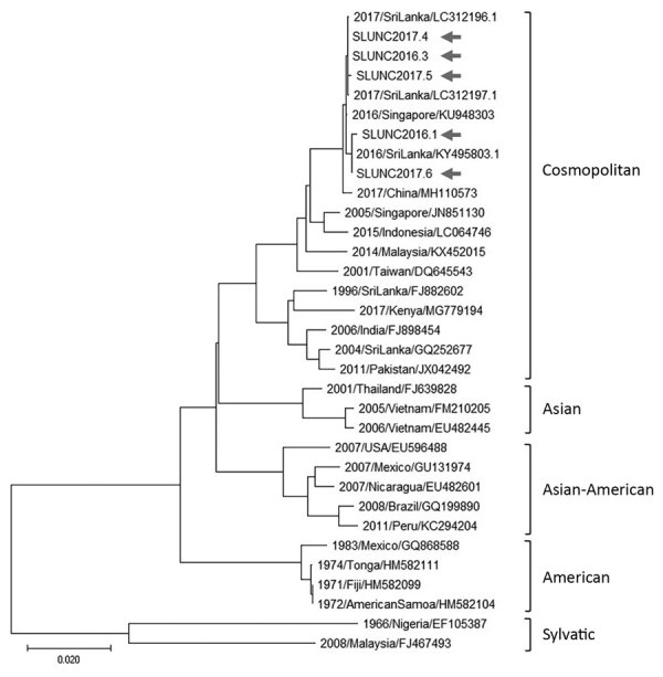 Figure 4