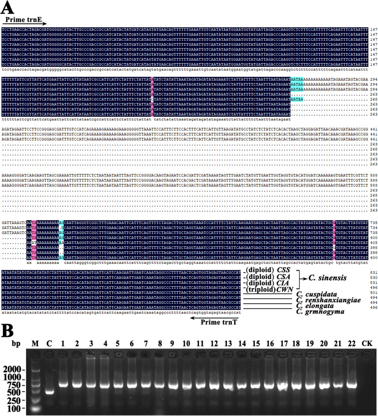 Fig. 11