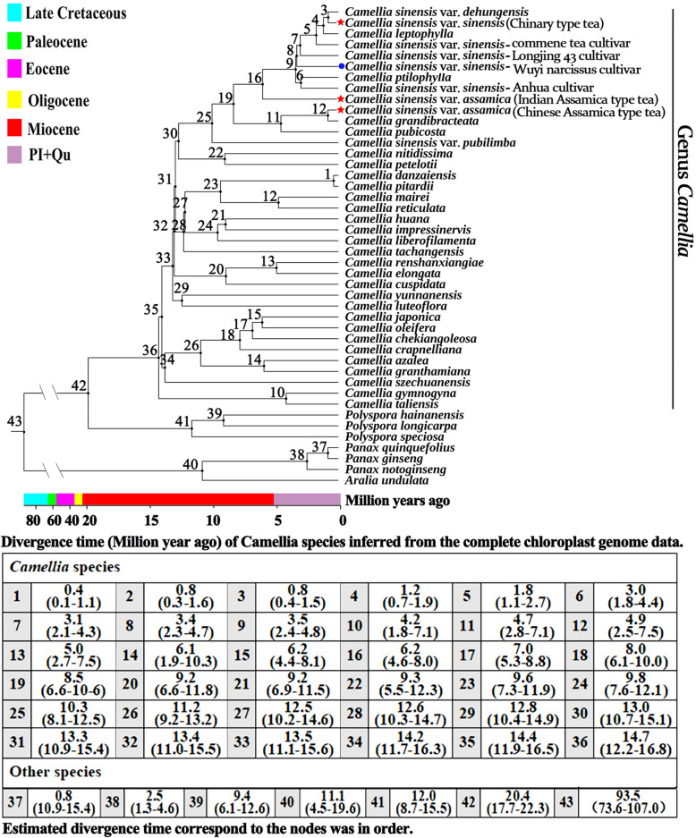 Fig. 12