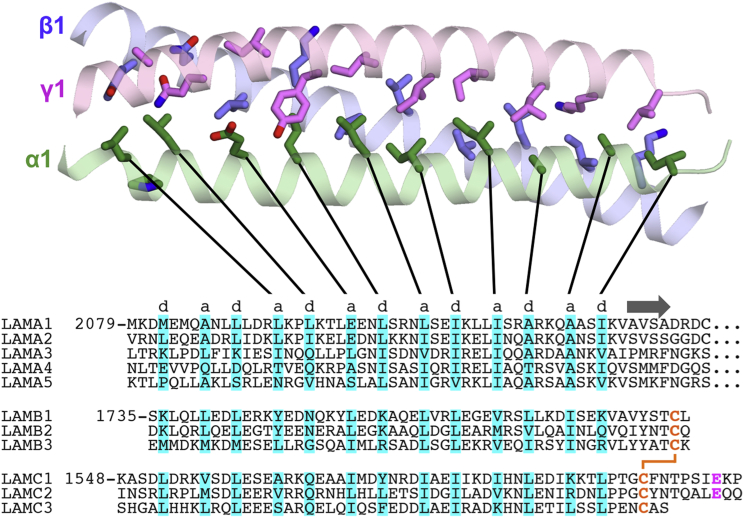 Figure 2