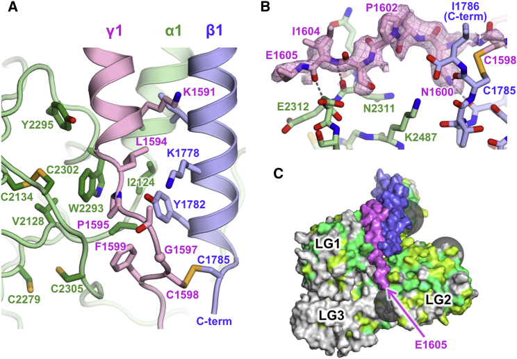 Figure 3