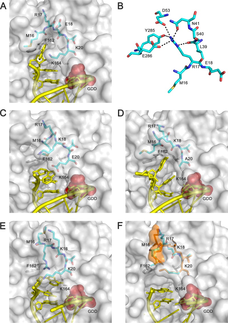 FIG 5