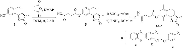 Scheme 2