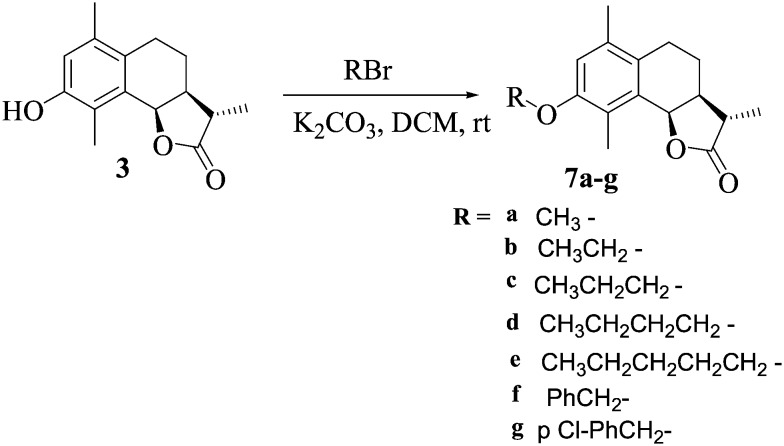 Scheme 3