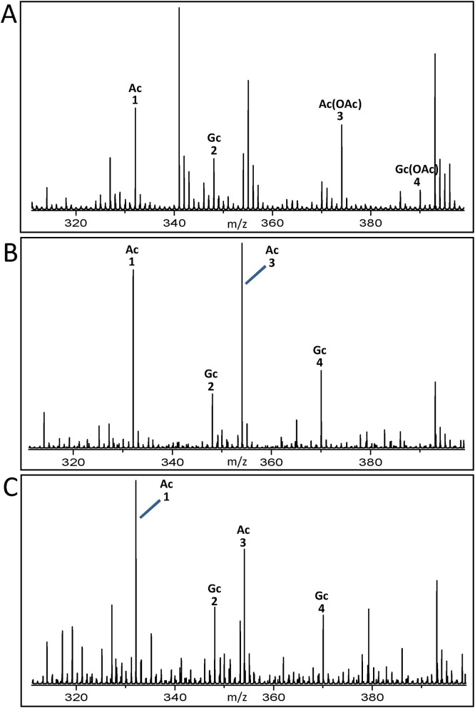 Fig. 4