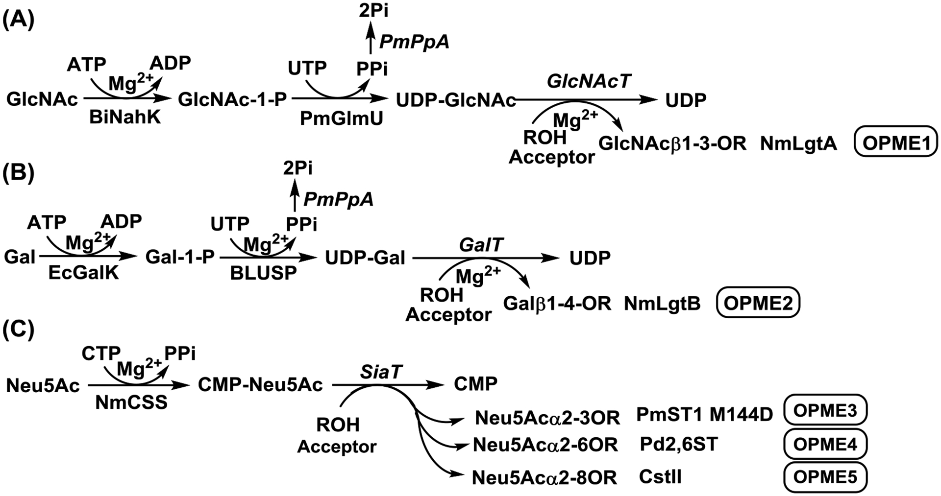 FIG. 1.