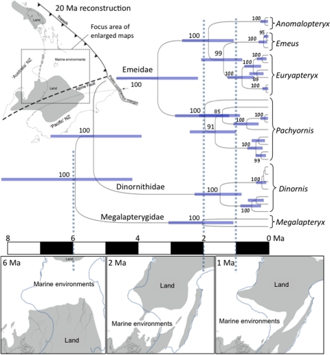 Fig. 2.