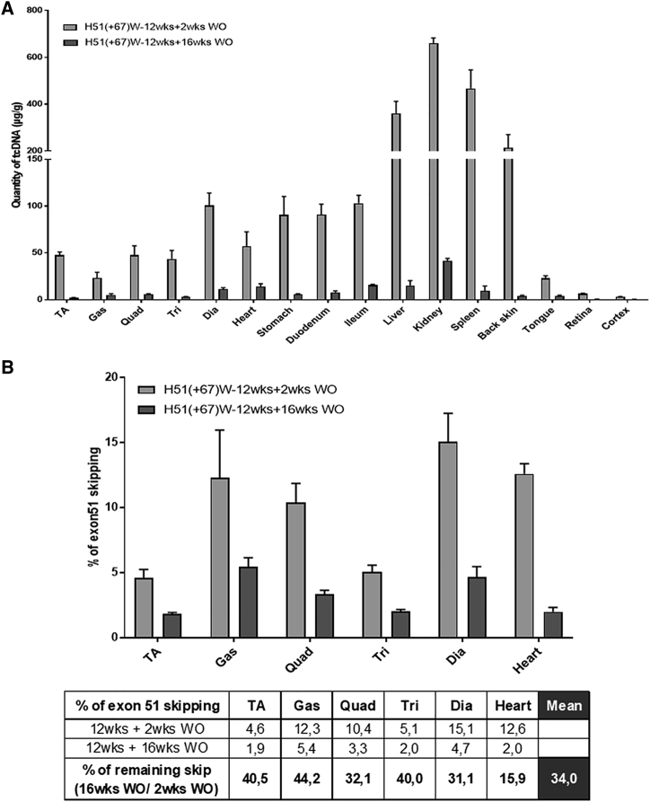 Figure 6