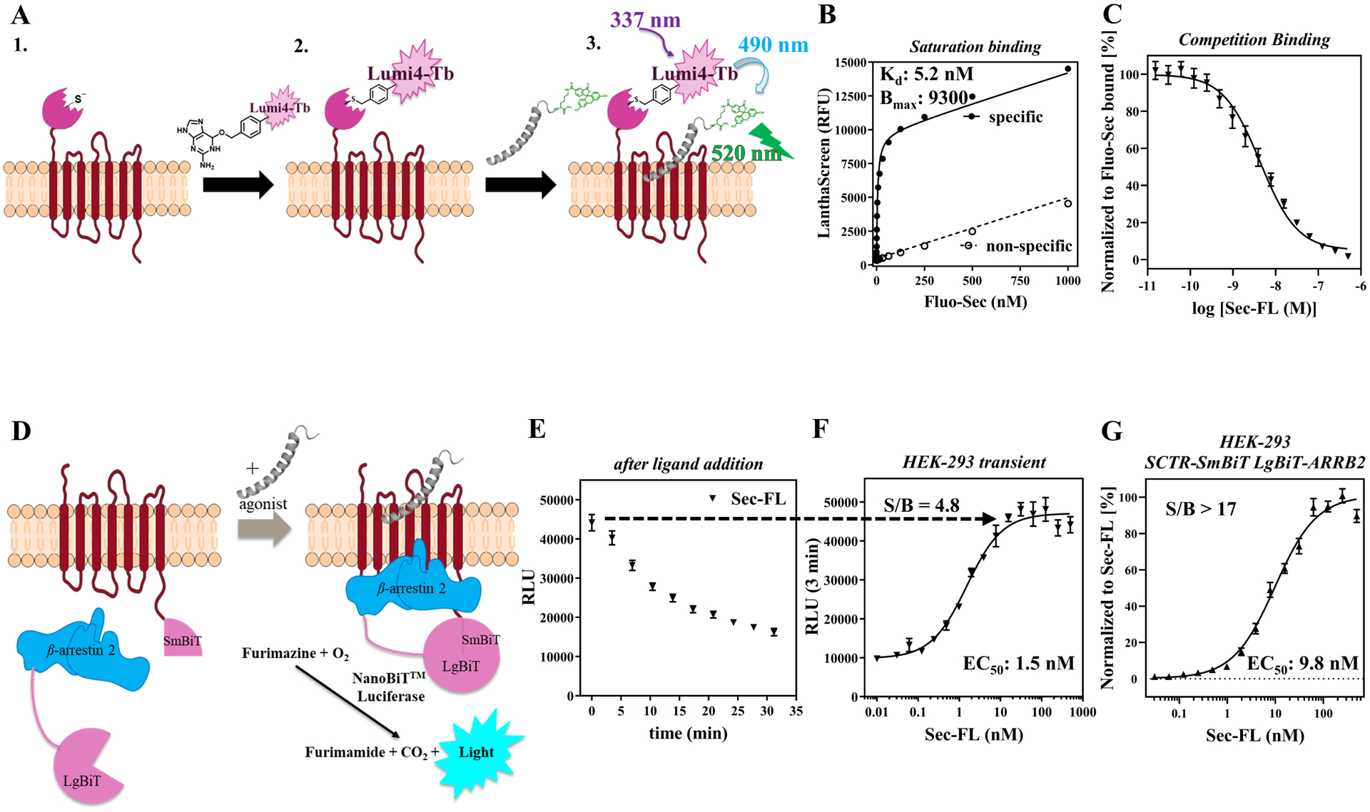 Figure 2: