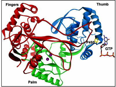 FIG. 4.