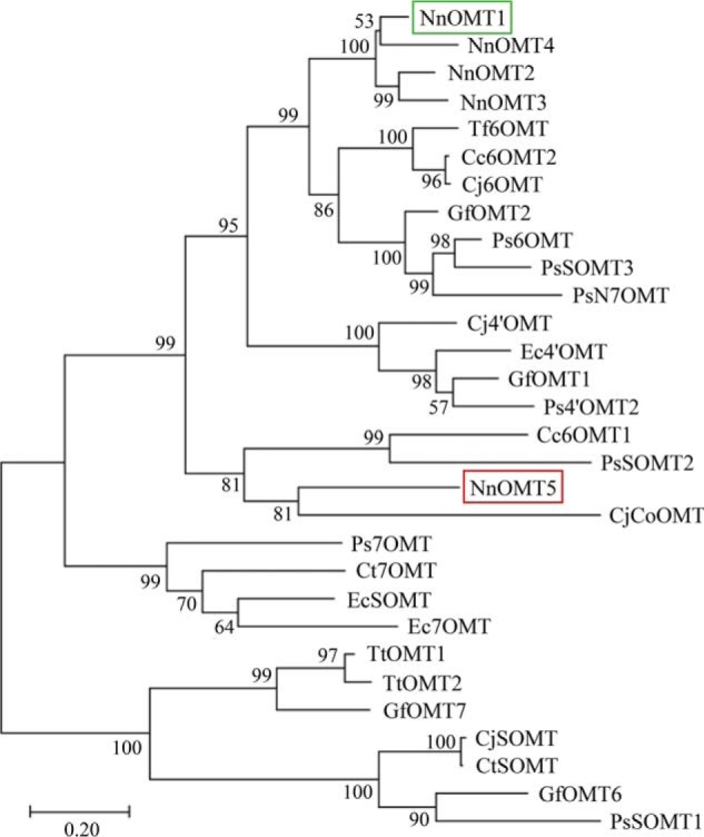 Figure 3.