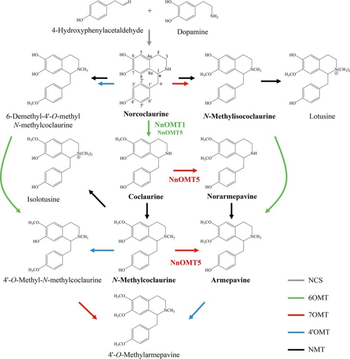 Figure 1.