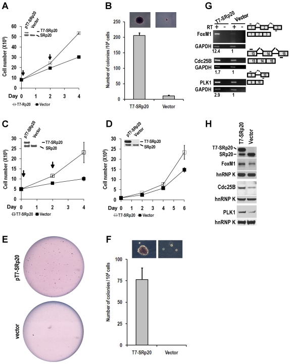 Fig 8