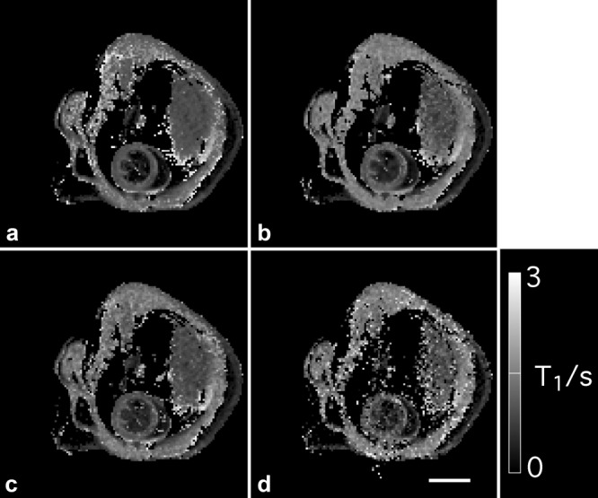 FIG. 7