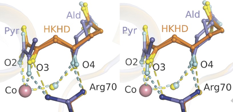 FIGURE 4.