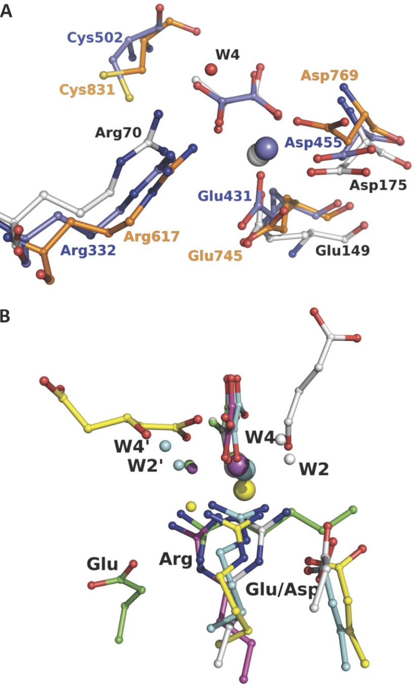 FIGURE 7.