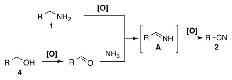 Scheme 4