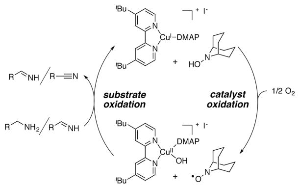 Scheme 2