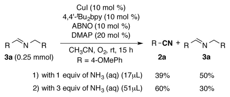 Scheme 3